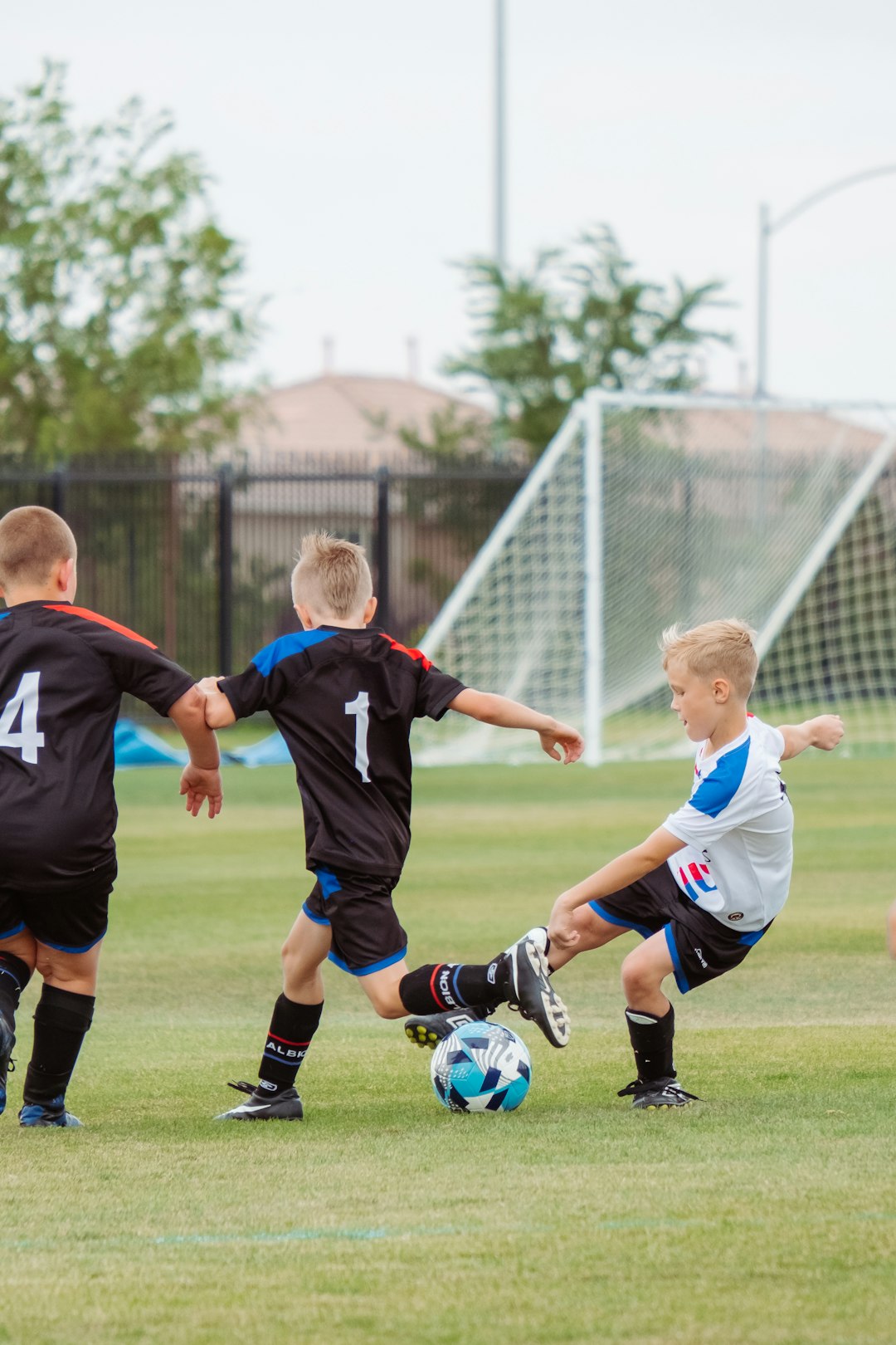 gallery-5 2-men-playing-soccer-during-daytime-avcbdbr-lwc